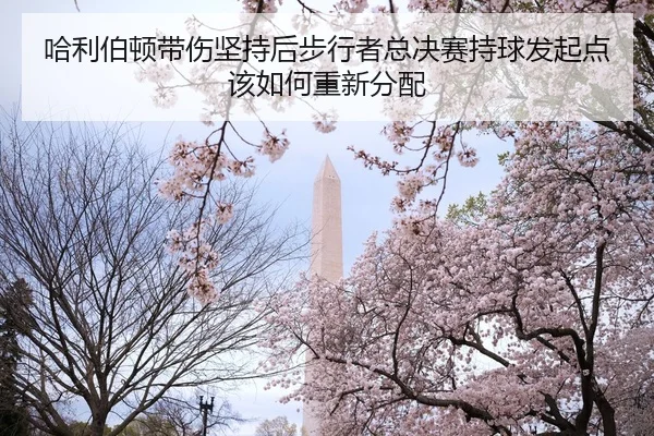 哈利伯顿带伤坚持后步行者总决赛持球发起点该如何重新分配