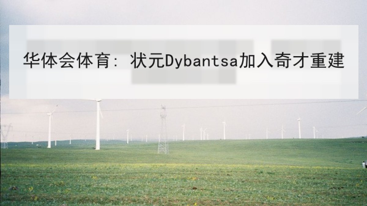 华体会体育: 状元Dybantsa加入奇才重建
