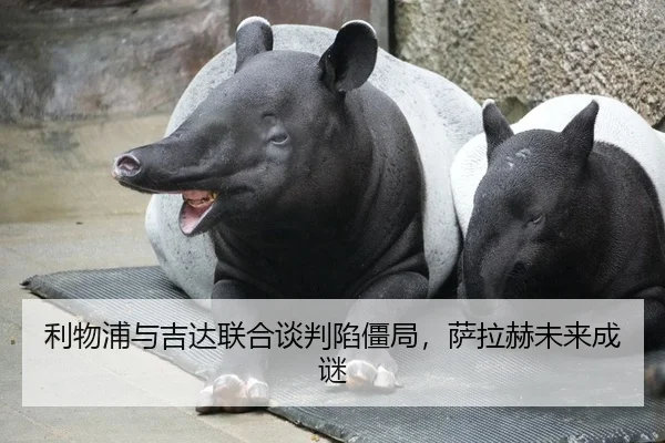 利物浦与吉达联合谈判陷僵局，萨拉赫未来成谜