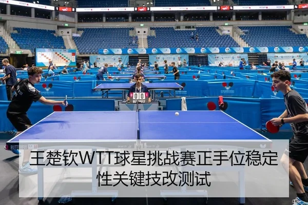 wang-chu-qin-qiu-xing-tiao-zhan-sai-zheng-shou-wei-wen-ding-xing-guan-jian-ji-gai-ce-shi-2-877.jpg