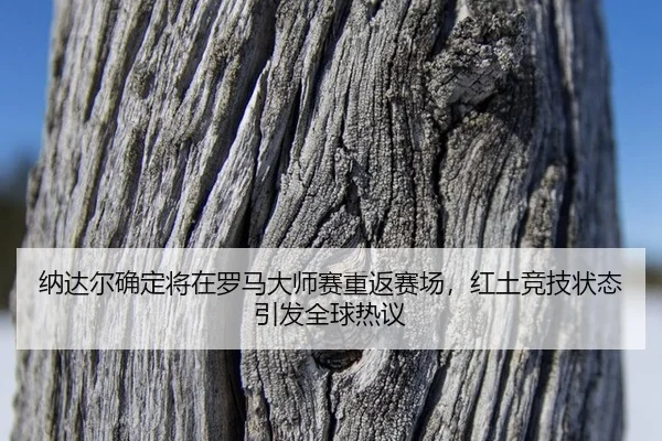 na-da-er-que-ding-jiang-zai-luo-ma-da-shi-sai-chong-fan-sai-chang-hong-tu-jing-ji-zhuang-tai-yin-fa-quan-qiu-re-yi-3-950.jpg
